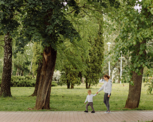 Conheça 6 parques da Zona Norte de SP