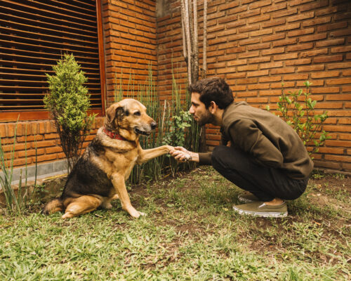 Morar em um condomínio com Pet Place vale a pena?
