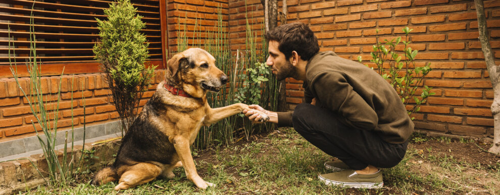 Morar em um condomínio com Pet Place vale a pena?